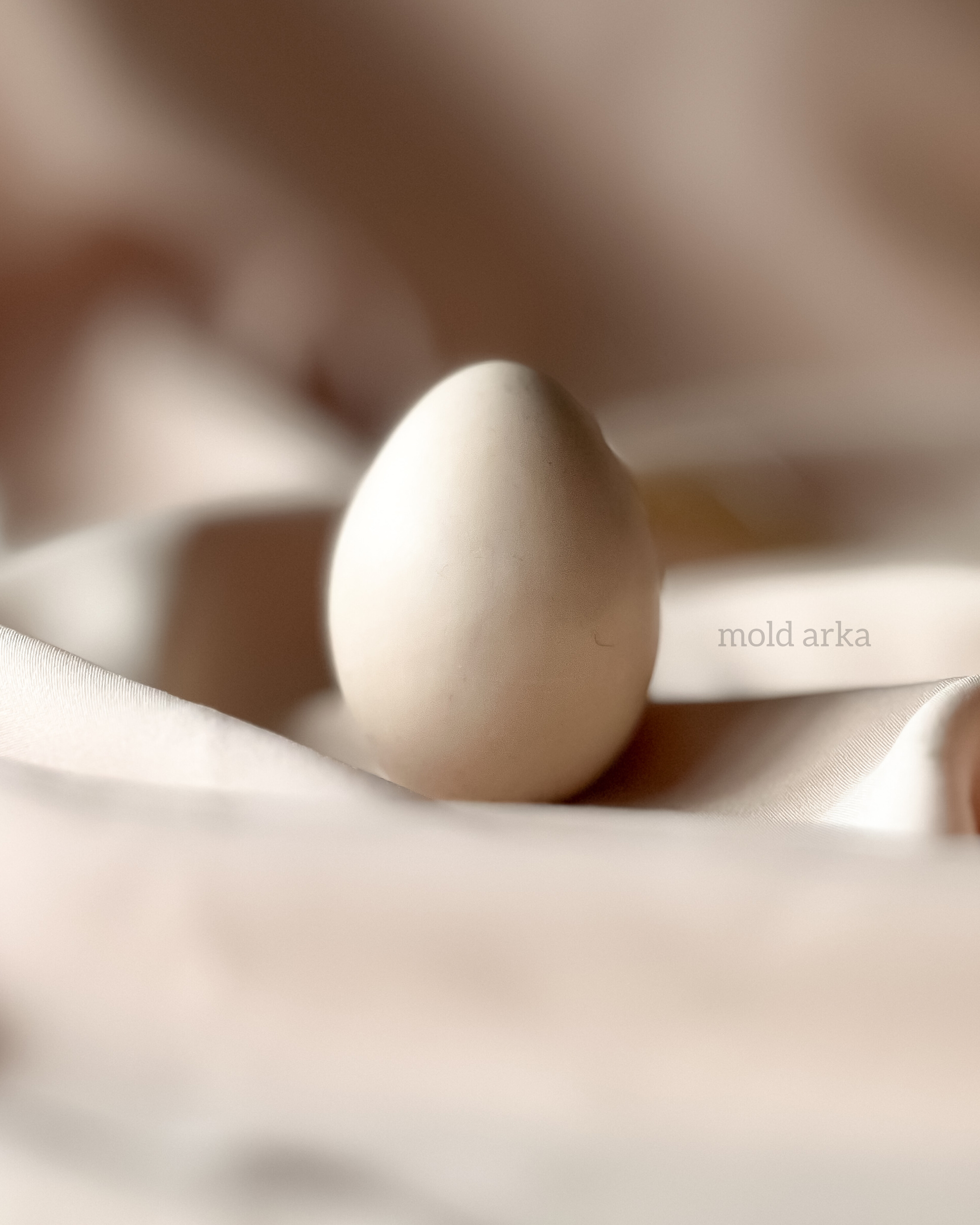 قالب سیلیکونی تخم مرغ ساده