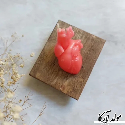 قالب قلب طبیعی.