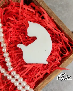 قالب ساشه گربه